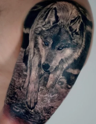 Tatuaggio realistico di un lupo sul braccio, tattoo studio a Locarno