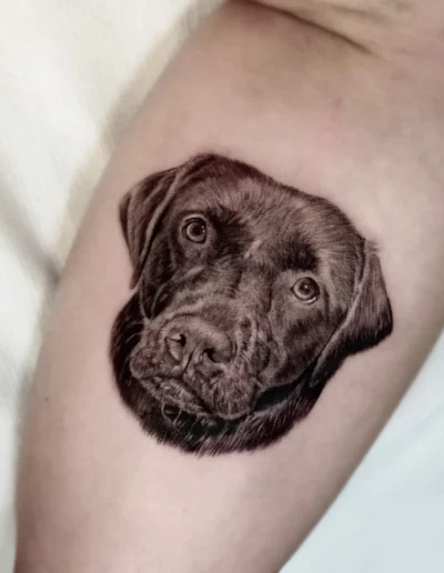 Tatuaggio realistico ritratto di cane, tattoo Locarno