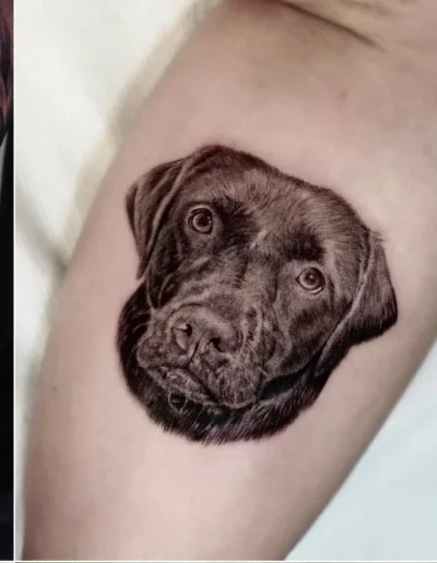 Ritratto di labrador in microrealismo - Omar Keyo, Keyo Tattoo Studio Locarno